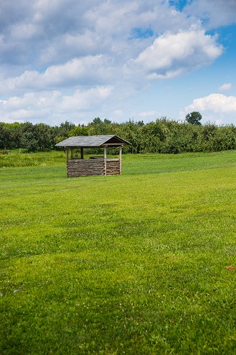 Shed In a Meadow