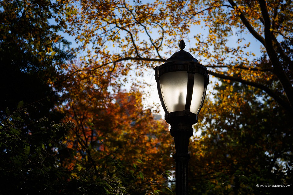 Lamppost (The Light of Fall)